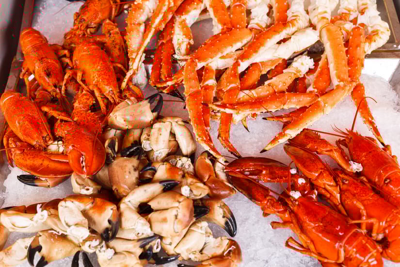 lobsters in bergen in norway