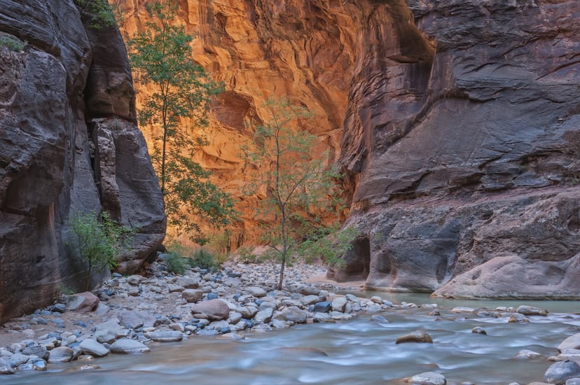 river in zion national park in utah in usa