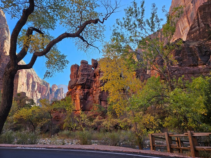 road at zion national park in springdale in utah in usa